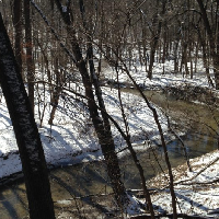 Local creeks can be special places