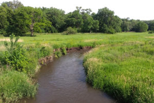 Phosphorus in Clear Creek