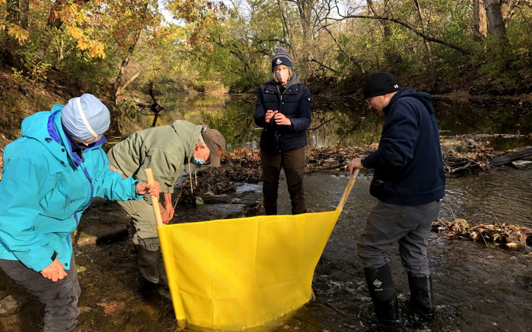 Fall 2020 Water Quality Snapshot finds sensitive critters