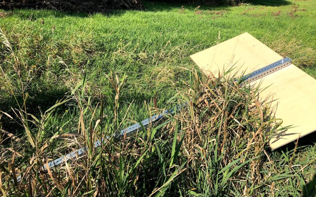 What’s in a (creek) name?