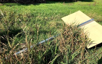 What’s in a (creek) name?
