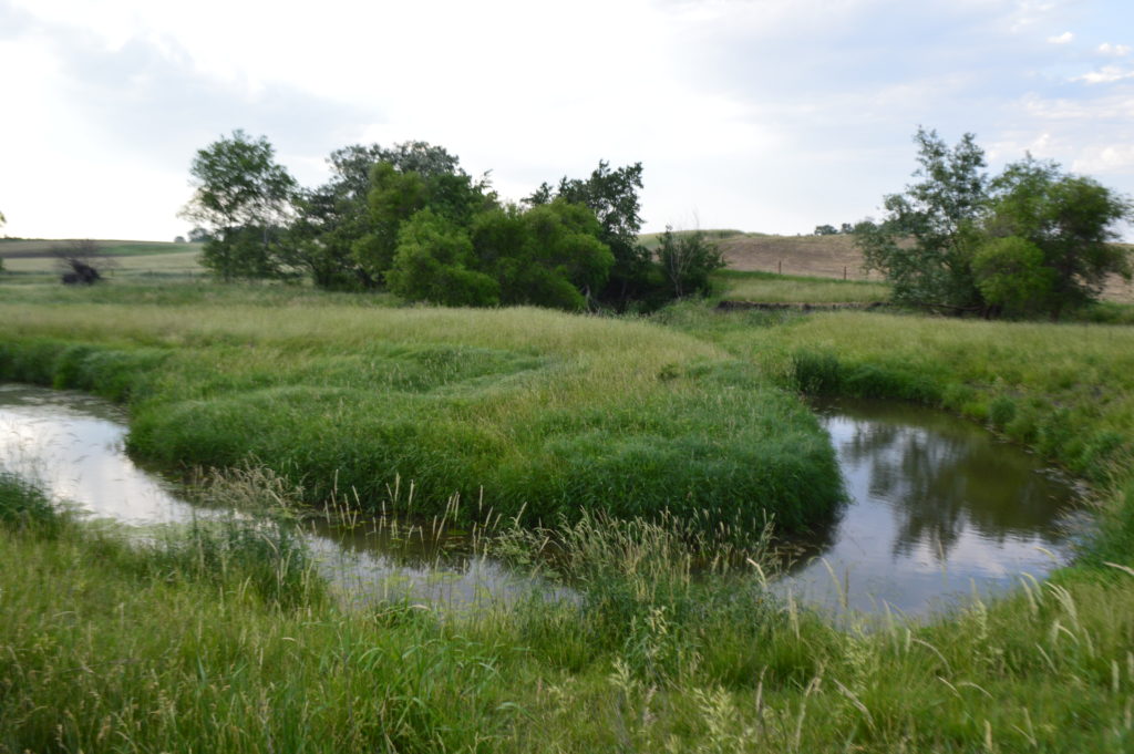 Oxbow