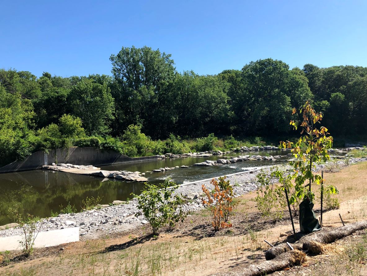 The South Skunk River