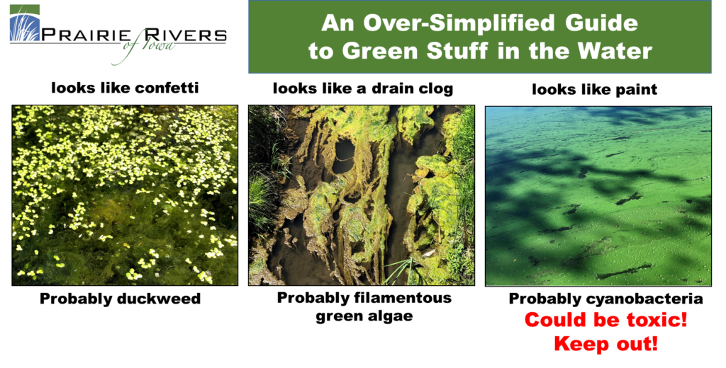 Green Stuff in the Water - Prairie Rivers of Iowa