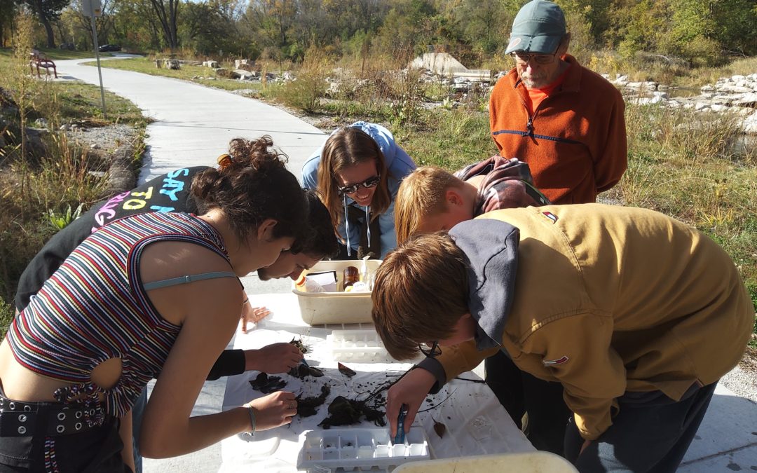 Our October 2021 volunteer monitoring event is a little different