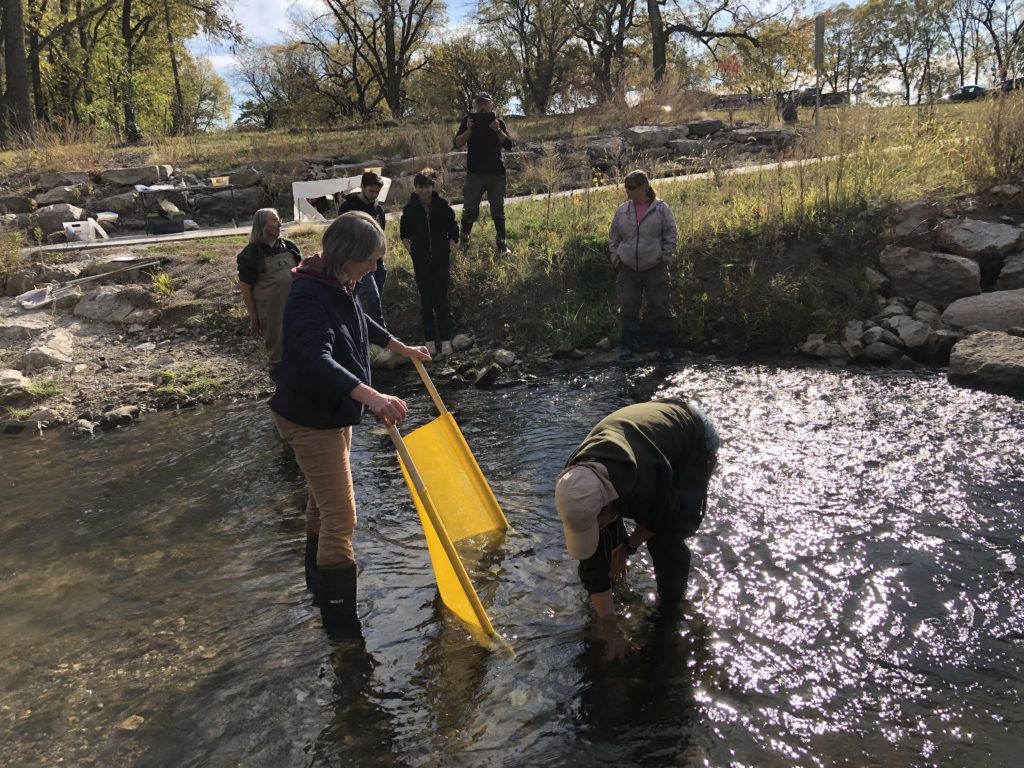 Volunteers collect benthic macroinvertebrates (water bugs).