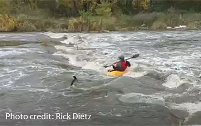 Making Sense of Water Quality Data – A Paddler’s View