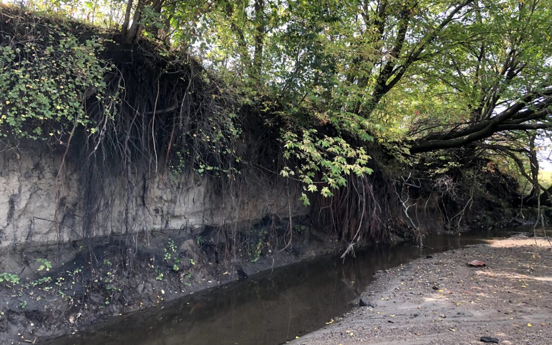 Legacy Sediment for Fourth Graders