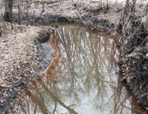 orange stain at water's edge