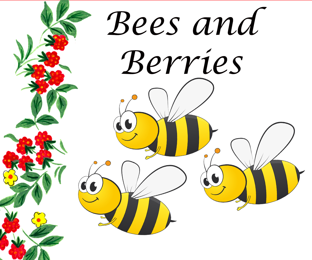 Bees and Berries