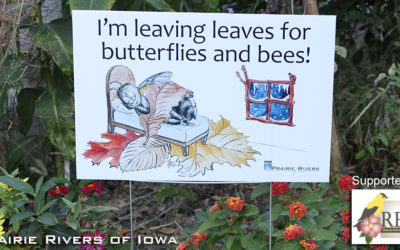 Ames Pollinator-Friendly Practices Pilot Project Completed