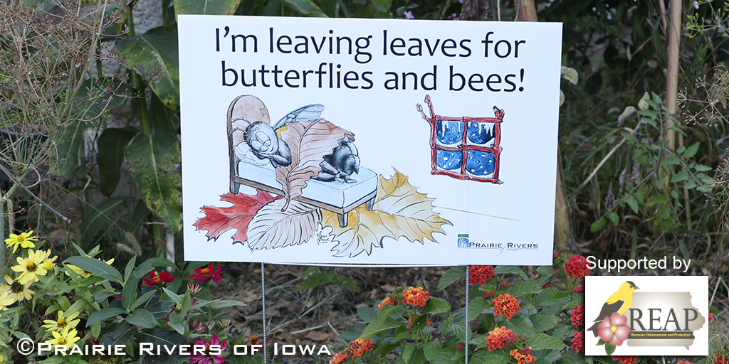 Ames Pollinator-Friendly Practices Pilot Project Completed