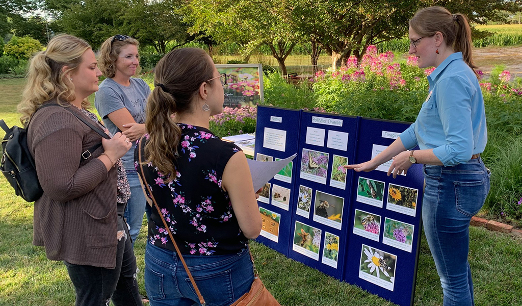 Pollinator Education