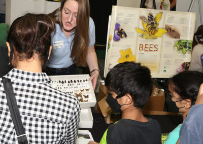 Insect Education During Ames EcoFair