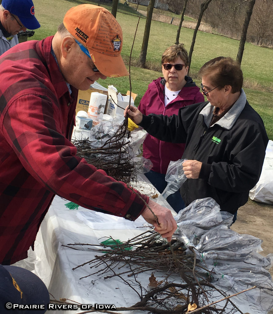 Jerry Radke volunteering during a Story County Arbor Day event.