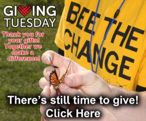 There's still time to give!