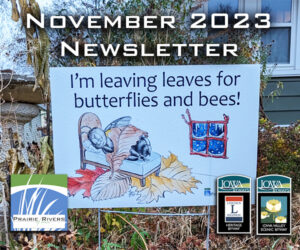 PRI November Newsletter Link