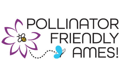 More Bees, Please – Creating a Pollinator Friendly Ames!