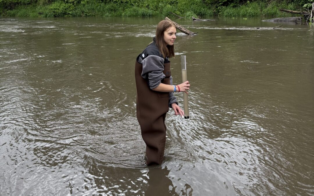 A Good Day for Volunteerism, A Bad Day For Water Quality