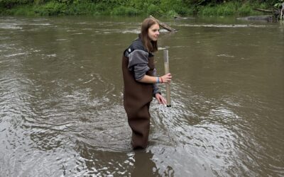 A Good Day for Volunteerism, A Bad Day For Water Quality