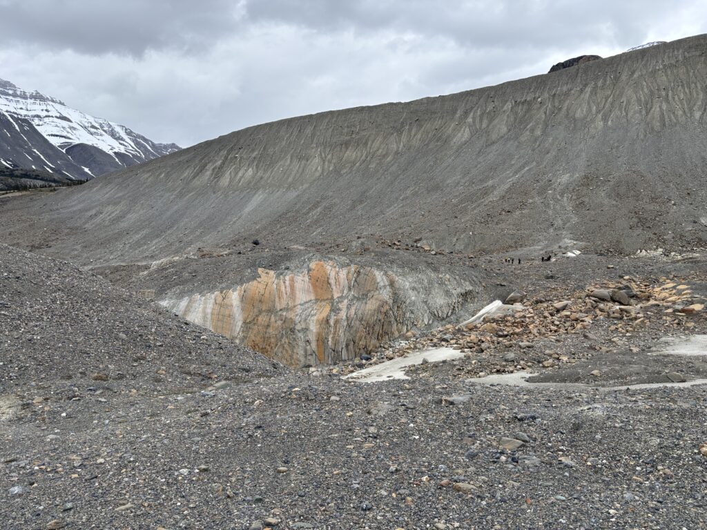 Ground moraine and a lateral moraine deposited by the Athabasca glacial