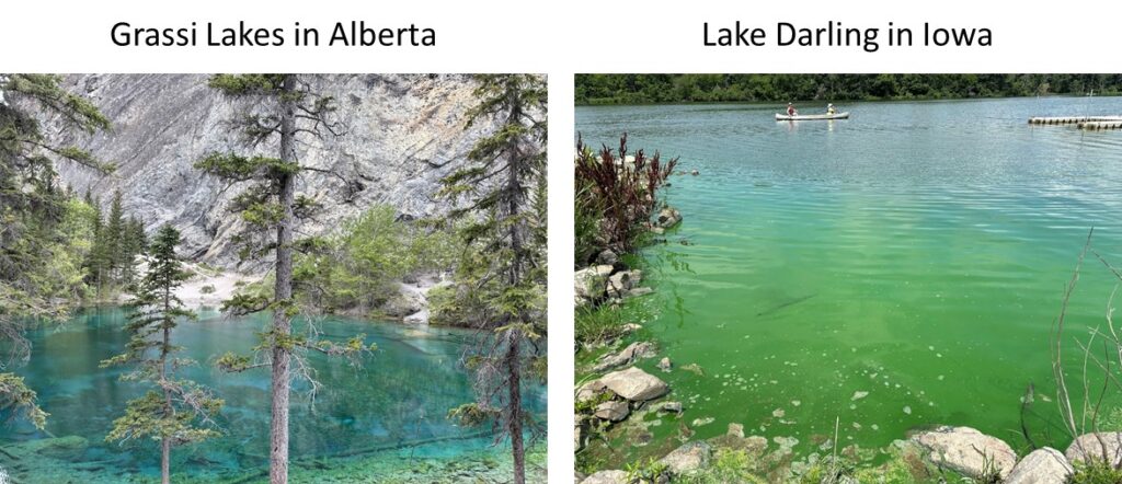 Lakes can be bluish green from minerals or from algae