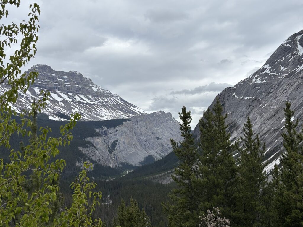 River valley in the Canadian Rockies