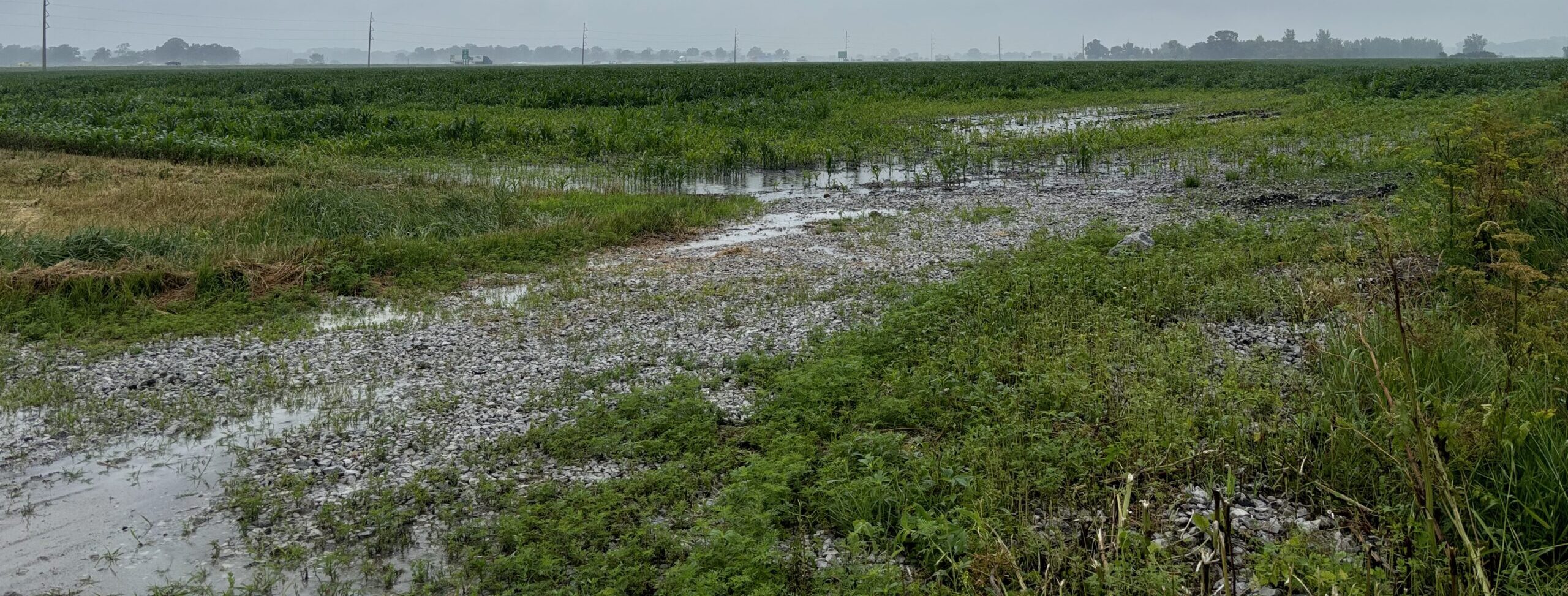 Agricultural stormwater runoff