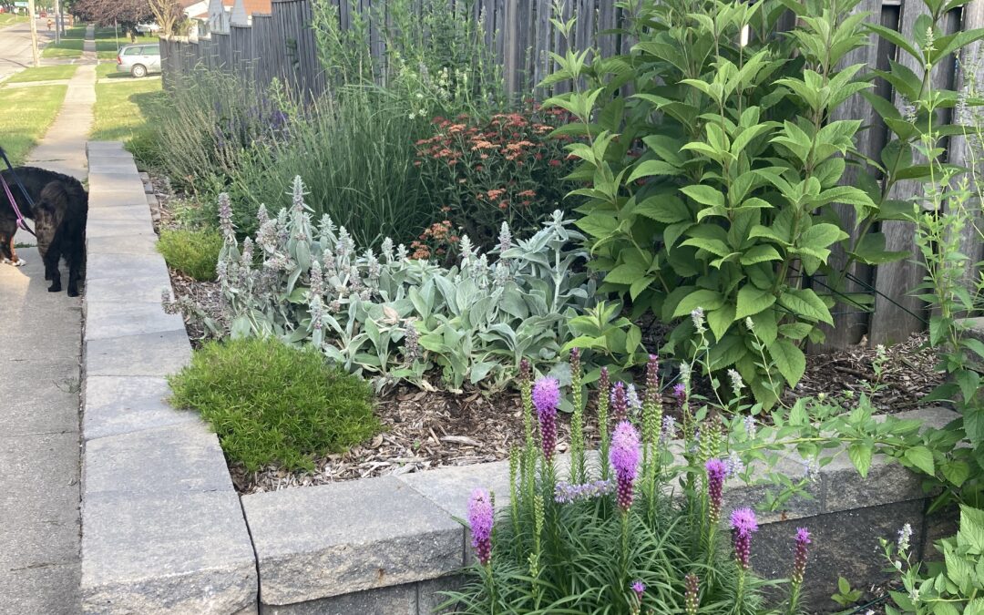 Does Adding a Pollinator Garden Really Save You Money?