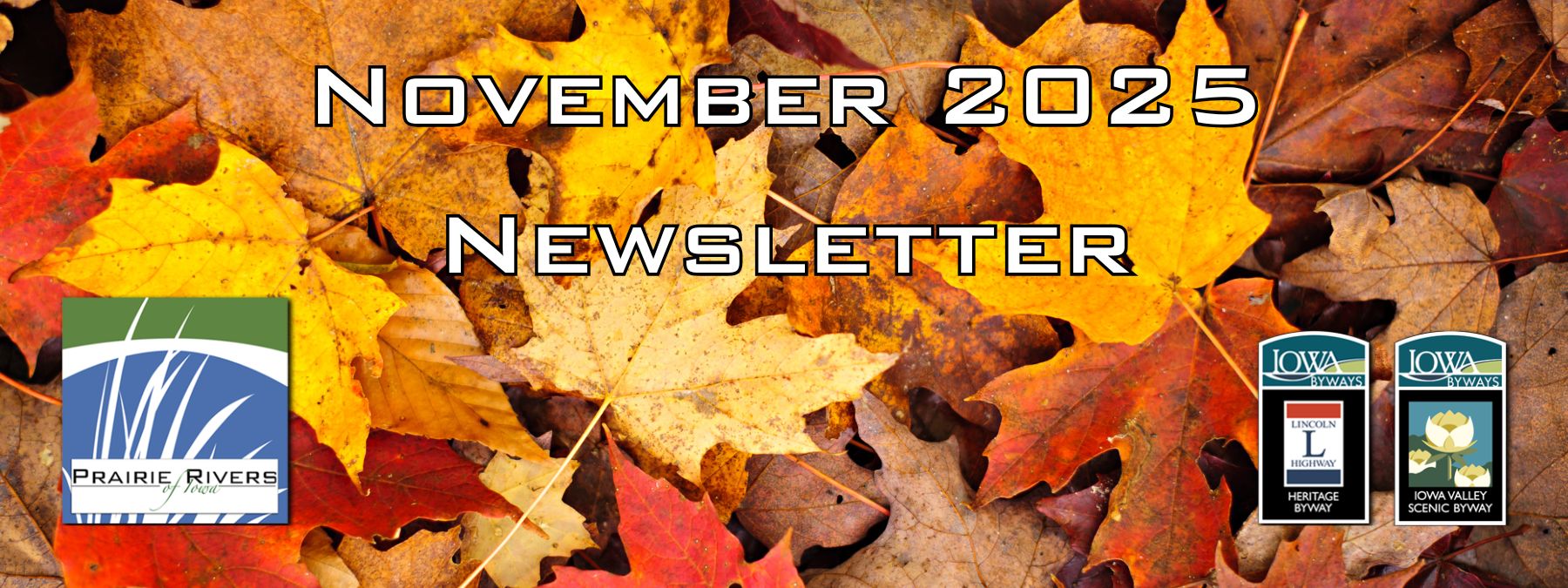 Nov 2025 Newsletter October 2025 newsletter banner