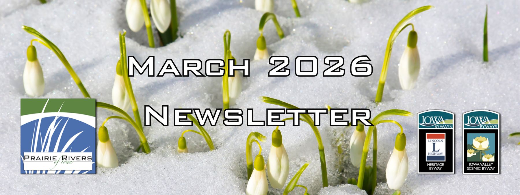 Mar 2026 Newsletter October 2025 newsletter banner